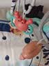 babycare婴儿健身架玩具钢琴0-6个月音乐新生儿礼物蓝牙百日满月儿童礼盒 【热卖爆款】忠犬健身架-附赠电池 实拍图