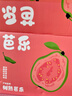 京鲜生 红心芭乐 净重3斤 单果150g+ 生鲜端午水果礼盒 实拍图