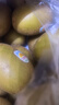佳沛（zespri）新西兰金果巨大果22粒原箱单果146-175g 端午礼物水果礼盒 猕猴桃 实拍图