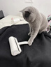 美丽雅粘毛器滚筒7卷替换纸共420撕沾毛神器衣服猫毛地毯清理宠物毡毛刷 实拍图