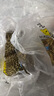 蓝月亮洗手液抑菌99.9%300g*12瓶整箱 芦荟泡沫丰富儿童办公室商用7.2斤 实拍图