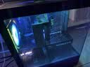 微星（MSI）AMD R7 7800X3D/9700X/5060Ti/5070/瀚铠9070XT台式组装电脑游戏电竞三角洲行动主机DIY整机组装机 配置十三：9700X+RTX5070 实拍图