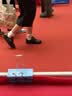 卡特兔学步鞋宝宝凉鞋男童夏季学步鞋1-6岁网面透气儿童凉鞋XBI124 实拍图