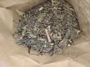 资御医-药房精选泽漆中药材500g克猫眼草干猫儿眼睛草五朵云泽漆粉五凤草泽夕 泽漆250克 实拍图
