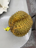 野兽派（THE BEAST）Jungle野桃木槿花香薰蜡烛礼盒室内香薰新婚礼物生日礼物 实拍图