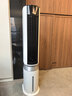 美的（Midea）【冰爽净化】家用空调扇加湿智能声控负离子落地冷风扇电风扇冷风机水冷塔扇 强力制小空调AAI12PV 实拍图