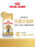 皇家猫粮 英短成猫粮 BS34 通用粮 12月以上 2KG 实拍图