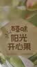 百草味开心果盐焗味100g*3袋 实拍图
