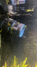 森森（SUNSUN）造浪泵鱼缸水族箱冲浪泵耀蓝造流吹粪便吹鱼便 吸盘款5W 流量调节 适合60-80cm鱼缸 实拍图