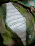 babycare金山茶花拉拉裤XXXXL26片(＞19kg)婴儿尿不湿超薄透气轻柔花苞裤 实拍图
