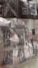 正大樱桃谷鸭胗1斤 鸭货生鲜 鸭肫火锅食材鸭胗花 实拍图