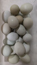 温润食品绿壳乌鸡蛋30枚/2.6斤 生鲜鸡蛋 绿壳鸡蛋土鸡蛋 生鲜食材 实拍图