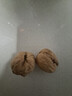 问君 新疆阿克苏185纸皮核桃508g原味薄皮生核桃孕妇坚果零食 实拍图