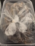 依泉（Uriage）柔润唇膏4g(白唇)保湿滋润唇膜淡化唇纹  口红打底 欧洲原装进口 实拍图