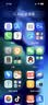 Apple/苹果【需签收激活】iPhone 16 Pro 128GB 白色钛金属 支持移动联通电信5G 双卡双待手机 国补 实拍图