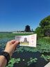 苏泊尔（SUPOR）【价保618】小电饭煲1-2人用1.6升陶瓷不粘锅内胆快煮饭宿舍智能多功能小型迷你微压电饭锅F16R71 实拍图