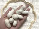 威尔基手工DIY蚕丝扇骨架材料蚕茧蚕丝扇子材料包制作扇架自制蚕丝扇框 【全套材料包+蚕茧】八瓣海棠框 实拍图