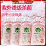 滴露（Dettol）衣物消毒液自然香氛洗衣除菌液 除螨除异味去汗臭48h留香1000ml*1 实拍图