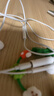 胜为lightning转3.5mm 音频线耳机转接头 听歌语音麦克风线控支持苹果iPhone12/13/14iPad ELD0002H 实拍图