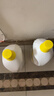 滴露（Dettol）衣物消毒液除菌柠檬3L 99.9%杀菌除螨内衣裤衣服消毒水配洗衣液 实拍图