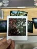 宝丽来（Polaroid）i-Type型拍立得相机相纸 复古胶片【限I-2&Flip&Now&Now+&Lab可用】 26年2月i-Type黑框彩色相纸 (8张) 实拍图