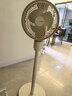 夏普 （SHARP）空气循环扇电风扇家用循环对流低噪大风量净化落地扇摇头节能四季扇立式涡轮换气扇 【升级直流电机+净化除菌+香薰驱蚊】 实拍图