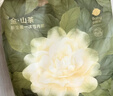 babycare山茶花一次性内裤女孕妇月子日抛出差旅行XXL码15条【安全灭菌】 实拍图