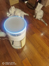 霍尼韦尔（Honeywell）宠物空气净化器吸猫毛除过敏源猫猫搭子 猫毛净化器杀菌消毒除异味KJ360F-C22W 实拍图