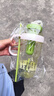 【京东物流】水杯冰霸吸管杯高颜值学生茶水分离大容量杯子 肚肚杯1个-浅绿色 实拍图