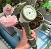 沃施（WORTH）出口欧洲 4分软水管花园浇花浇水家用高压洗车浇菜自来水管20米 实拍图
