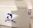 澳柯玛（AUCMA）500升单温冷柜家用卧式大冰柜 雪糕柜 冷藏柜冷冻柜 顶开门冰箱一级能效BC/BD-500HNE 【价保618】 实拍图