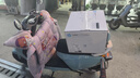 惠普（HP）1136w 黑白激光无线打印机 多功能家用办公打印机 复印扫描无线连接（116w提速版） 实拍图