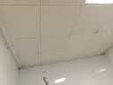 巨奇严选 浓缩除霉剂2.5L墙面墙体霉菌清除剂墙壁木材去除霉菌霉点 实拍图