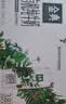 伊利【新鲜日期】金典双限定娟姗纯牛奶锡林郭勒牧场250ml*12 4月 实拍图