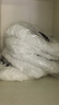 百家好世旋转拖把替换布31cm宽5个装托把头超细纤维吸水墩布头替换装 实拍图