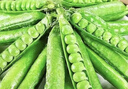 新鲜豌豆四川带壳青豆角水果甜豆荚农家蔬菜 新鲜青豌豆荚净重3斤 实拍图