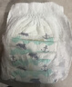 碧芭宝贝盛夏光年Pro拉拉裤XXL码28片(≥15kg)学步裤尿不湿夏天超薄透气 实拍图