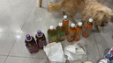 诺特兰德钙铁锌维D直饮包 运动青少年中老年儿童液体钙维生素d3 5条*1盒 实拍图