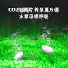 疯狂水草鱼缸二氧化碳水草缸造景水草植物二氧化碳发生器CO2水草用品200片 实拍图