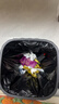 Mistine蜜丝婷防晒霜40ml防晒喷雾100ml防晒户外高倍防水汗礼物学生 实拍图
