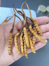 雷允上冬虫夏草约4根/g 10g约40根 送长辈朋友父亲节端午节礼物滋补营养 实拍图