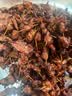 趣十八番正宗潮汕牛肉丸手打牛筋丸生鲜特产牛丸烧烤丸子火锅食材丸料 牛肉丸1斤+牛筋丸1斤 肉含量90% 实拍图