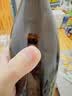 燕大师13°P比利时小麦啤酒750ml*6瓶原浆纯麦整箱聚会送礼礼盒踏春送礼 实拍图