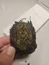 百年木仓中粮中茶茶叶 安化黑茶 金花茯砖茶 工夫手筑1kg 茶叶自己喝送礼 实拍图