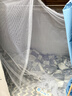南极人（Nanjiren）强遮光学生宿舍床帘上下铺通用寝室窗帘宿舍蚊帐单人床遮光帘子 COLL狗【强遮光 上下通用】 1.2m高【2片】围3面 实拍图
