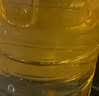 金龙鱼 食用油 非转基因 压榨 一级 纯正玉米油4L（新老包装随机发货） 实拍图