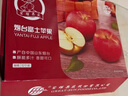 京鲜生山东栖霞红富士苹果 12粒 净重5斤 单果190g-240g 生鲜礼盒 实拍图
