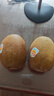 佳沛（zespri）新西兰阳光金奇异果原箱 16粒巨无霸 单果约204-233g   水果礼盒 实拍图