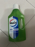 威露士（Walch）威露士多用途消毒液(1L*4+60ml*2)衣物消毒水居家地板杀菌除螨 实拍图