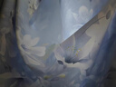水星家纺床笠纯棉100%全棉单件A类床单隔脏床垫罩床上用品床垫套150x200 实拍图